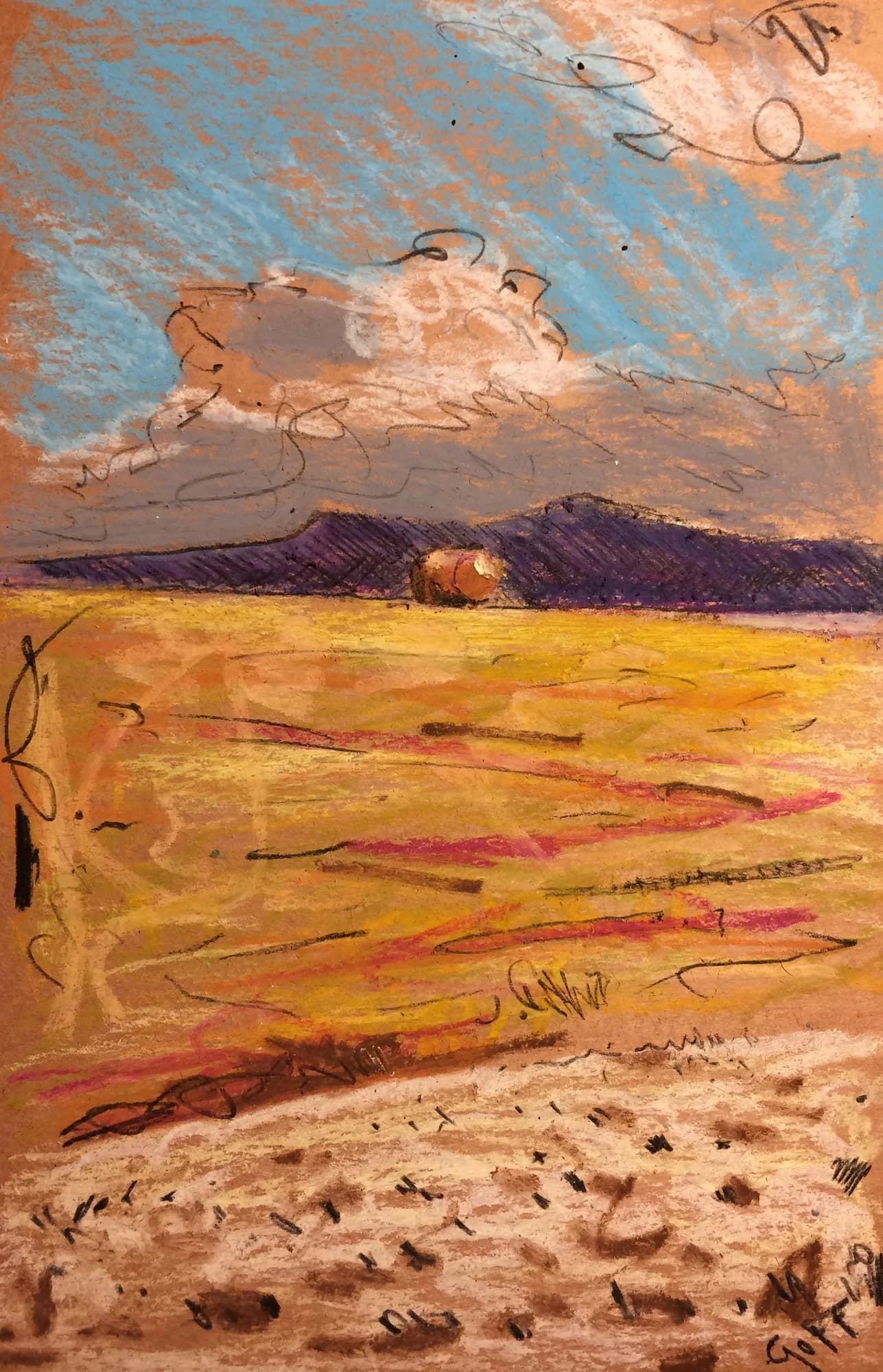 Delicate Saffron Memory